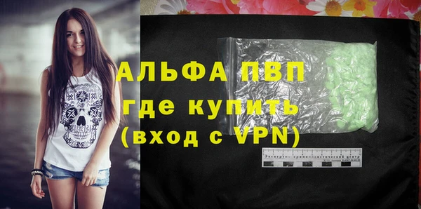 стафф Гусев