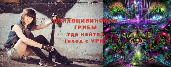 a pvp Дмитриев