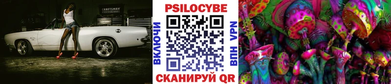 Галлюциногенные грибы MAGIC MUSHROOMS  Купить закладки  Катайск 